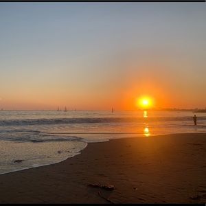 Meet your Posher, Jasmin